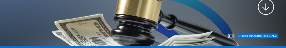 Ley 20.393 Modelo de prevención de Delitos económicos